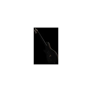 PRS Custom 24/08 10 Top PT