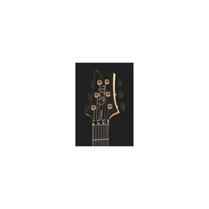 PRS Custom 24 Floyd 10 Top CH 2024