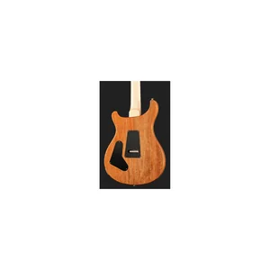 PRS Custom 24 Floyd 10 Top CH