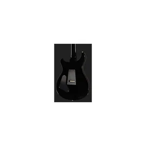 PRS Custom 24 Floyd 10 Top CH