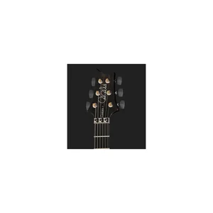 PRS Custom 24 Floyd 10 Top PT