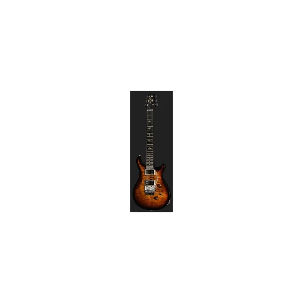 PRS Custom 24 Floyd BGWB