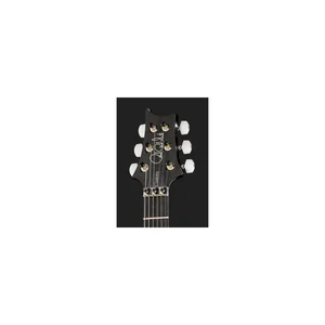 PRS Custom 24 Floyd CB