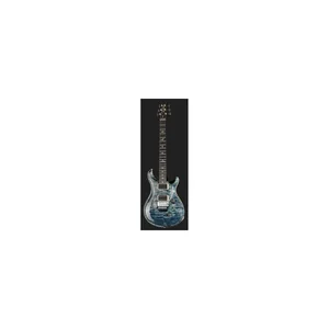 PRS Custom 24 Floyd FW