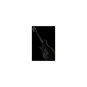 PRS DGT Birds 10 Top FB