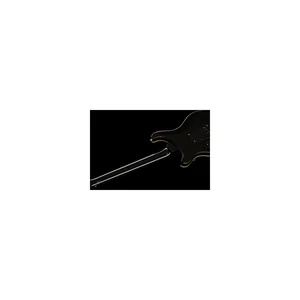 PRS DGT Birds 10 Top FB