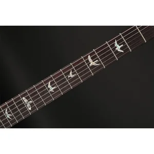 PRS DGT Birds Charcoal '24