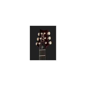 PRS DGT Birds DS