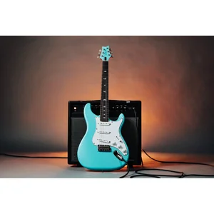 PRS JM Silver Sky RW Wild Blue LTD