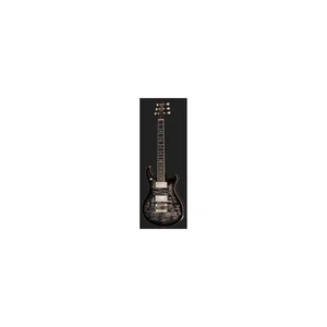 PRS McCarty 594 HB II CB MCIII