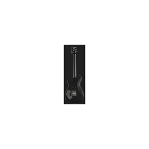 PRS Modern Eagle V Charcoal TCB WL