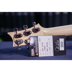 PRS Myles Kennedy Hunters Green