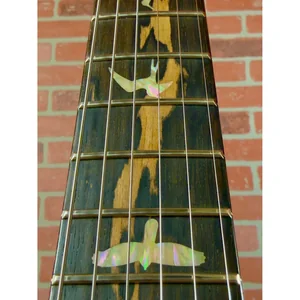 PRS Paul's Guitar Mango LTD TE