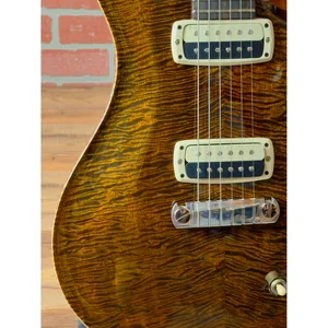 PRS Paul's Guitar Mango LTD TE