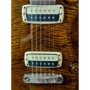 PRS Paul's Guitar Mango LTD TE
