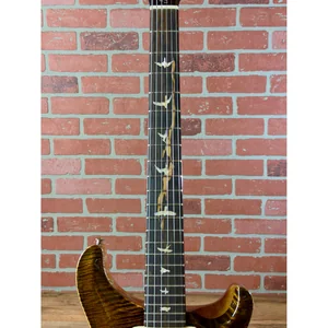 PRS Paul's Guitar Mango LTD TE