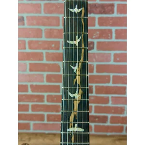 PRS Paul's Guitar Mango LTD TE