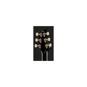 PRS PRS DGT Moons BW