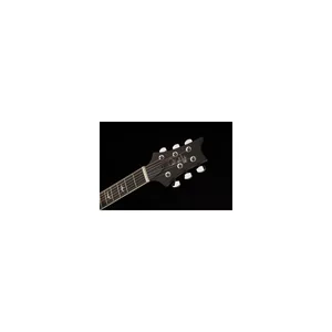 PRS SE A20E BX incl. Bag