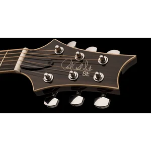 PRS SE A60E Natural