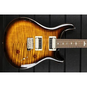 PRS SE Custom 24 BG