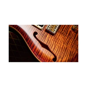 PRS SE Custom 24 Semi-Hollow VS