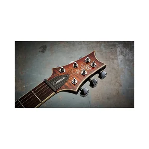 PRS SE Custom 24 Semi-Hollow VS