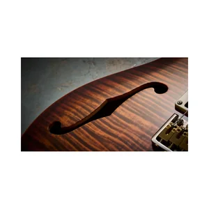 PRS SE Custom 24 Semi-Hollow VS