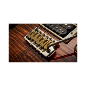 PRS SE Custom 24 Semi-Hollow VS