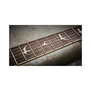 PRS SE Custom 24 Semi-Hollow VS