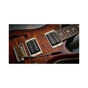 PRS SE Custom 24 Semi-Hollow VS