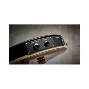 PRS SE Custom 24 Semi-Hollow VS