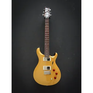 PRS SE DGT Gold Top