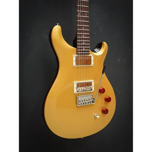 PRS SE DGT Gold Top