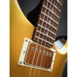 PRS SE DGT Gold Top