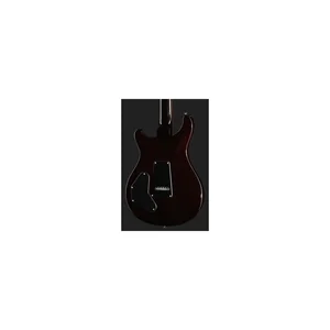 PRS SE DGT Standard Moons MTS