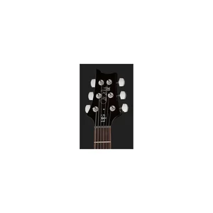 PRS SE DGT Standard Moons MTS