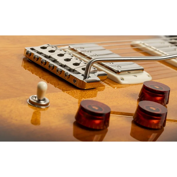 PRS SE DGT Standard Moons MTS