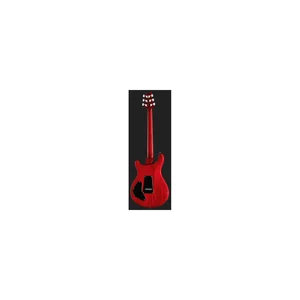 PRS SE DGT Standard Moons VC