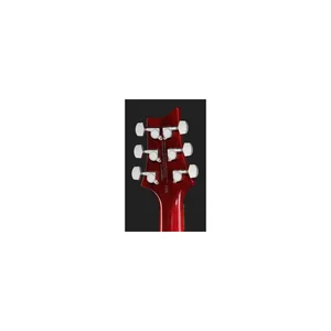 PRS SE DGT Standard Moons VC