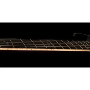 PRS SE Hollowbody II Piezo PBSB