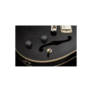 PRS SE Hollowbody Standard Dog HSB