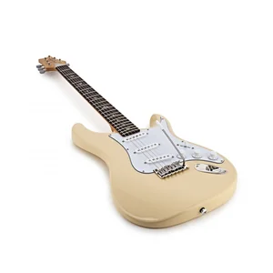 PRS SE Silver Sky Moon White Maple