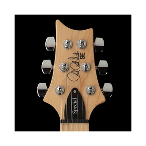 PRS SE Swamp Ash Special CH