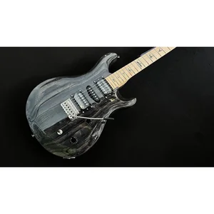 PRS SE Swamp Ash Special CH