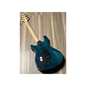 PRS SE Swamp Ash Special IB
