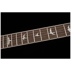 PRS SE Zach Myers EB
