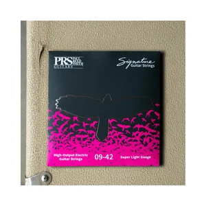 PRS Signature Strings 009 SL