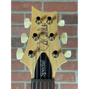 PRS Swamp Ash Special Black DH SB