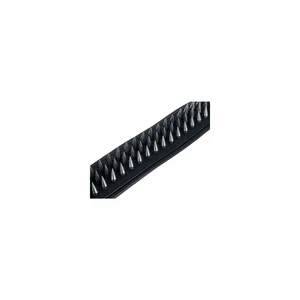 Richter Nergal BK Spikes Strap